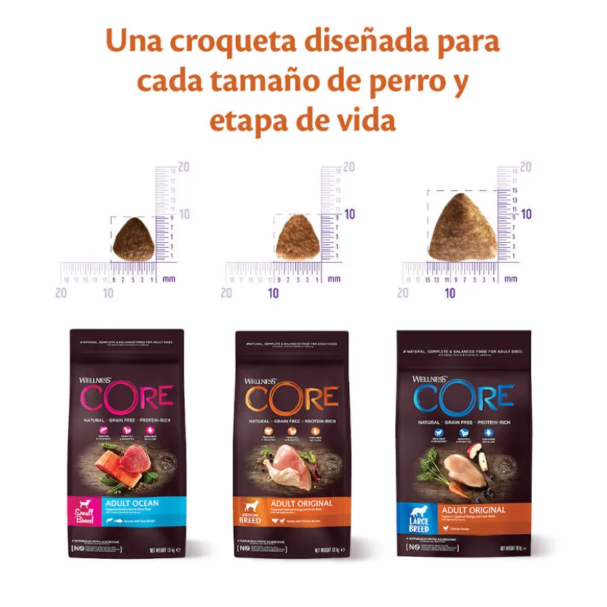 Wellness Core Adult Small Ocean Salmón y Atún pienso para perros