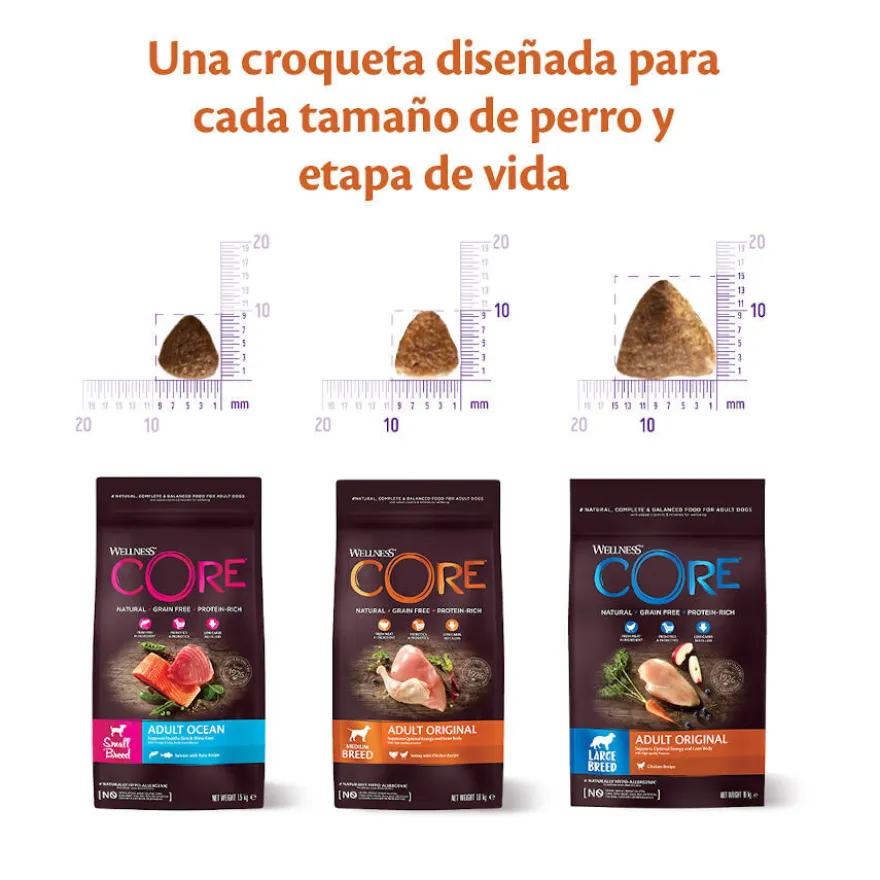 Wellness Core Adult Small Original Pavo y Pollo pienso para perros