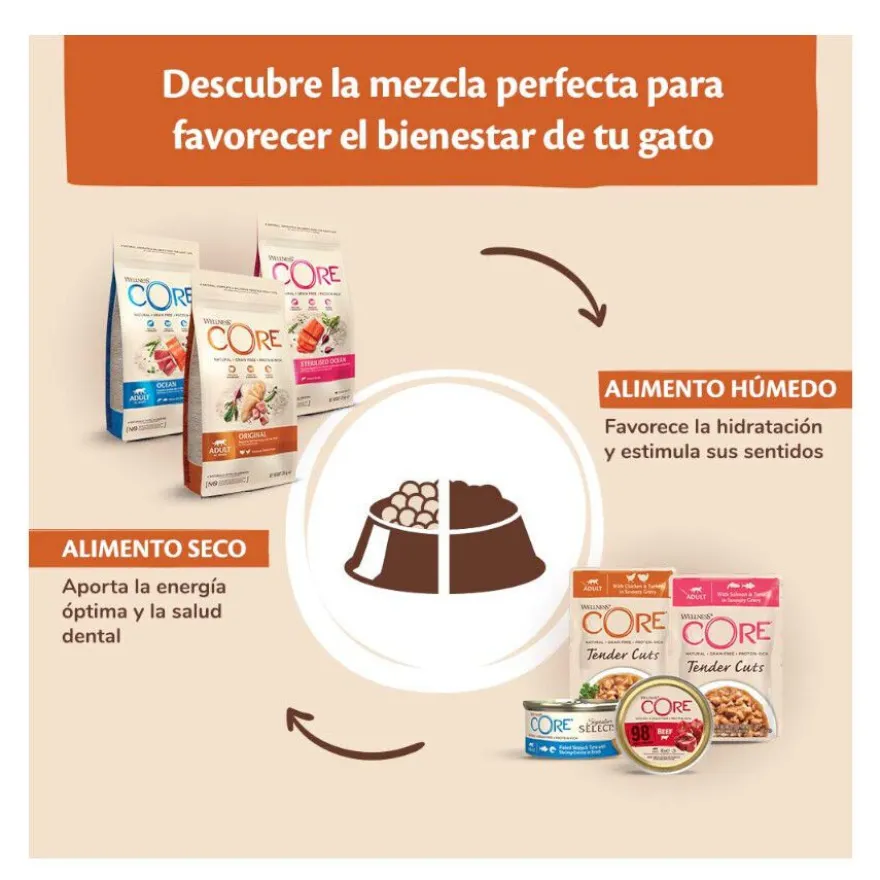 Wellness Core Duo Protein Salmón y Pollo tarrina para gatos