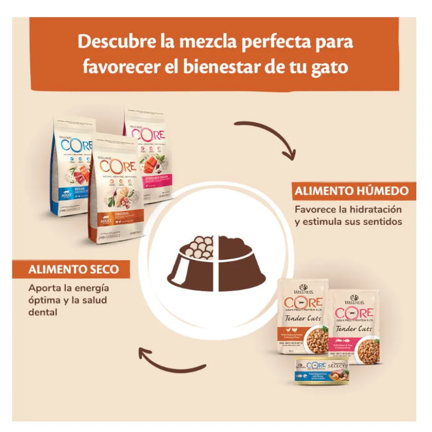Wellness Core Kitten Pavo y Pollo pienso para gatos