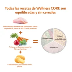 Wellness Core Puppy Large Original Pollo pienso para perros