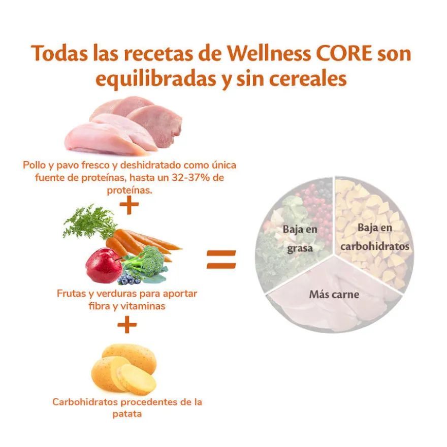 Wellness Core Senior Pollo y Pavo pienso para perros