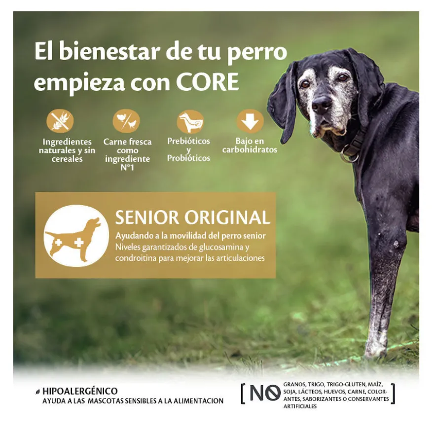 Wellness Core Senior Pollo y Pavo pienso para perros