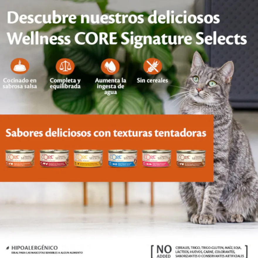 Wellness Core Shredded Pollo lata para gatos