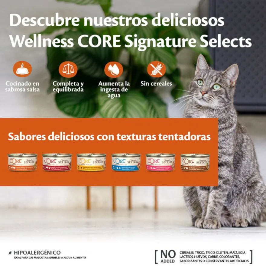 Wellness Core Shredded pollo y pavo lata para gatos