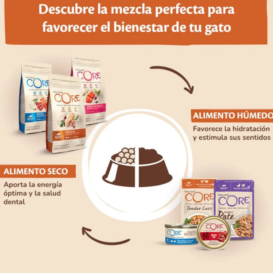 Wellness Core Shredded pollo y pavo lata para gatos