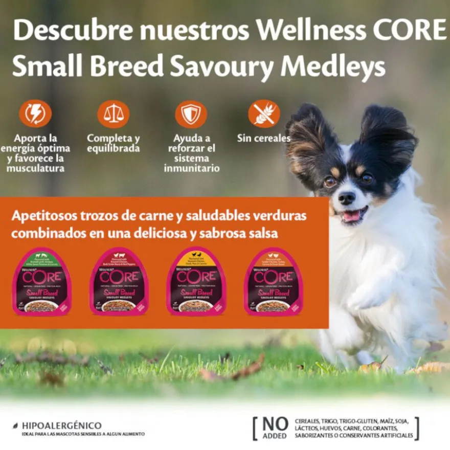 Wellness Core Small Breed Grain Free Pollo y Ternera tarrina para perros