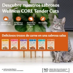 Wellness Core Tender Cuts pollo y salmón sobre en salsa para gatos