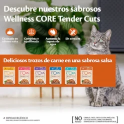 Wellness Core Tender Cuts salmón y atún sobre en salsa para gatos