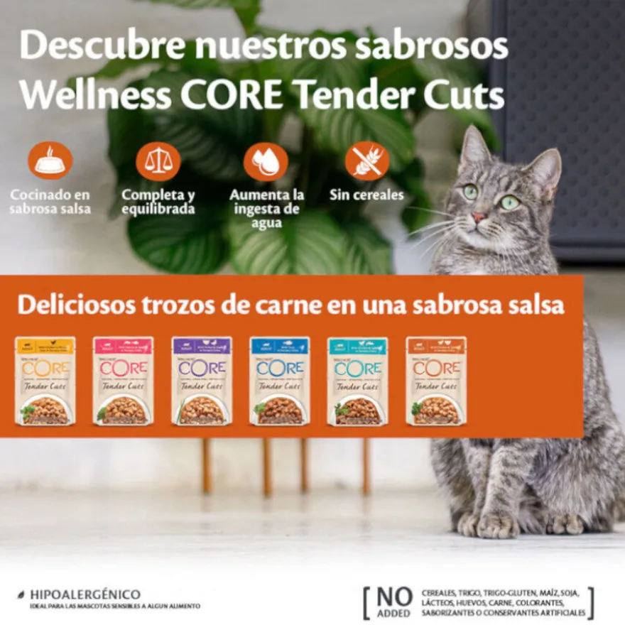 Wellness Core Tender Cuts salmón y atún sobre en salsa para gatos
