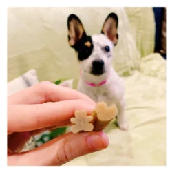 Whimzees Puppy XS/S Snacks Dentales Naturales para perros