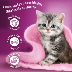Whiskas Carnes en Salsa en Bolsita para Gatitos