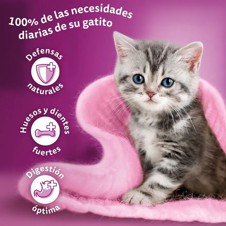 Whiskas Junior Pollo y Pavo Gelatina para gatos