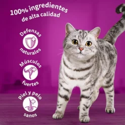 Whiskas Salmón y Atún Gelatina en Bolsita para Gatos Adultos