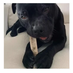 Wild Balance Asta de Ciervo partida mordedor para perros