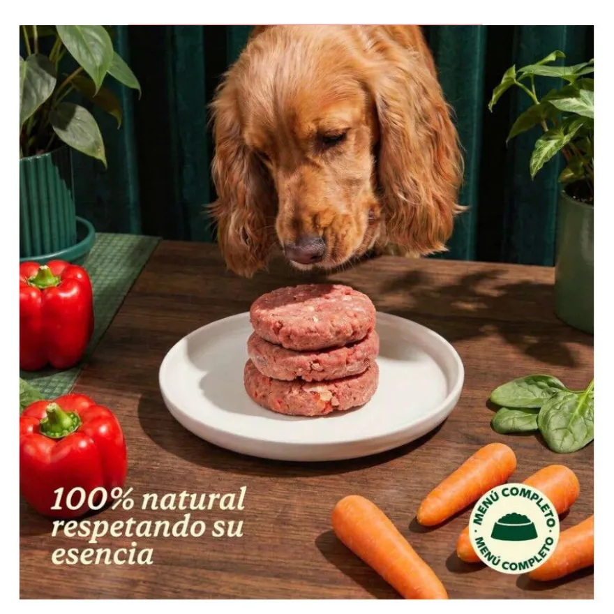 Wild Balance Barf Menú salmón con verduras comida congelada para perros