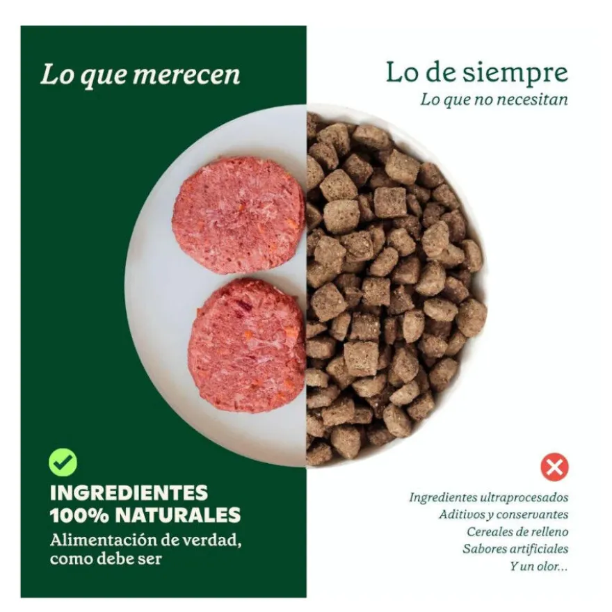 Wild Balance Barf Menú salmón con verduras comida congelada para perros