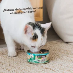 Wild Balance BARF Pescado y Pavo lata para gatos