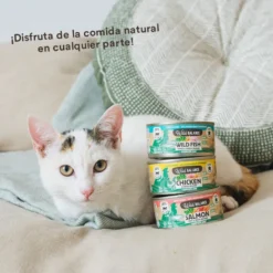 Wild Balance BARF Pollo y Vegetales lata para gatos