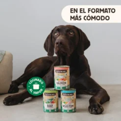 Wild Balance BARF Salmón y Ternera lata para perros