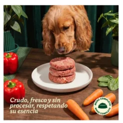 Wild Balance Menú Barf pollo y verduras comida congelada para perros