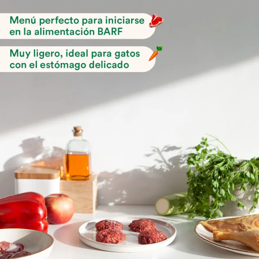 Wild Balance Menú Barf salmón pavo y verduras comida congelada para gatos