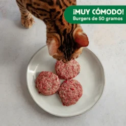Wild Balance Menú Barf salmón pavo y verduras comida congelada para gatos