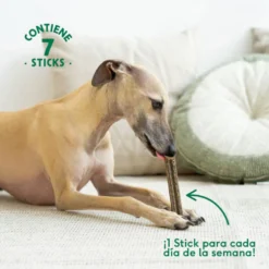 Wild Balance Stick Dentales de Ternera para Perros