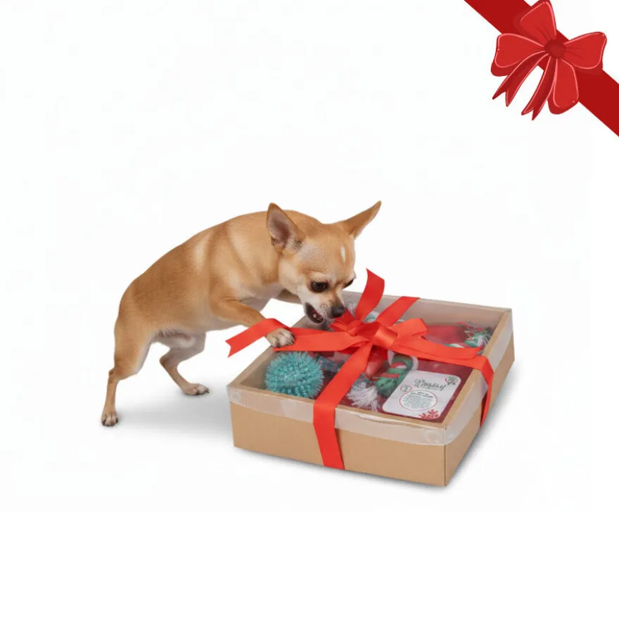Wonder Christmas Caja de Juguetes Navideños para perros