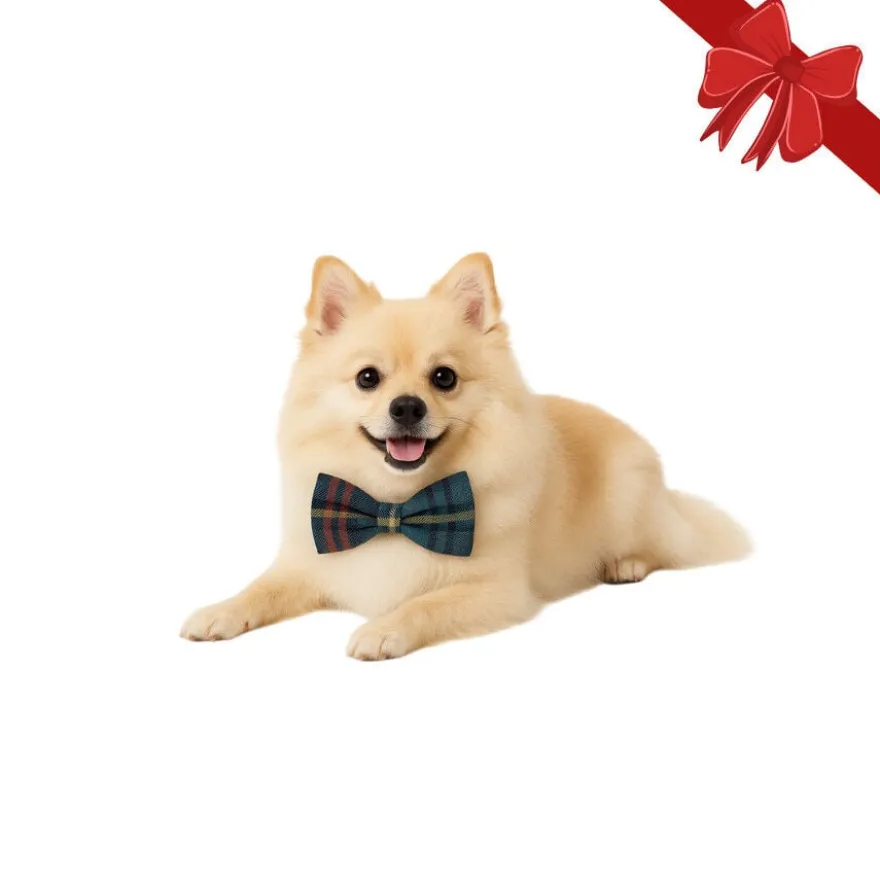 Wonder Christmas Pajarita Navideña Azul para perros