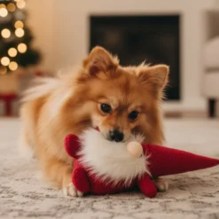 Wonder Christmas Peluche Santa Navideño para perros