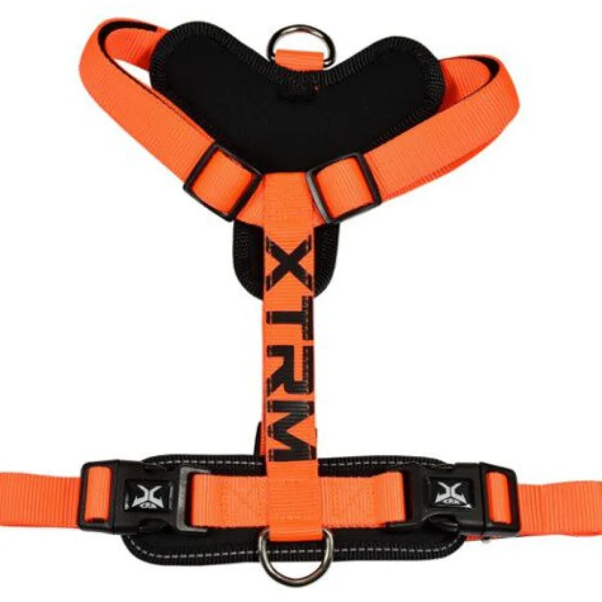 X-TRM Cronos Neón Arnés Naranja para perros
