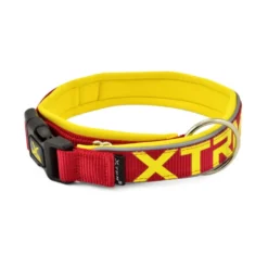 X-TRM Neón Flash Collar Rojo y Amarillo para perros