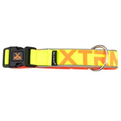 X-TRM Neon Flash Collar Limón para perros