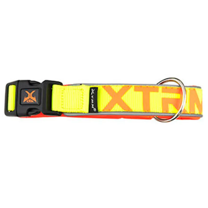 X-TRM Neon Flash Collar Limón para perros