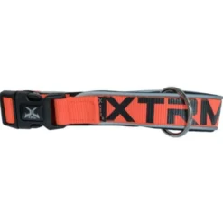 X-TRM Neon Flash Collar Naranja para perros