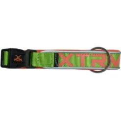 X-TRM Neon Flash Collar Verde para perros